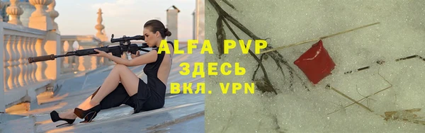 спиды Богданович