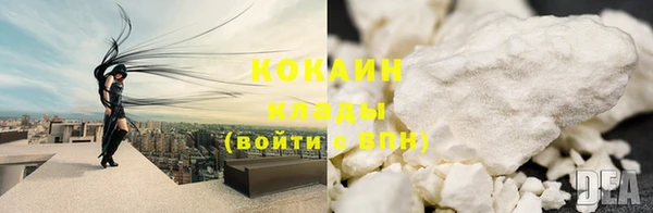 спиды Богданович