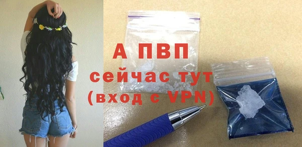 спиды Богданович