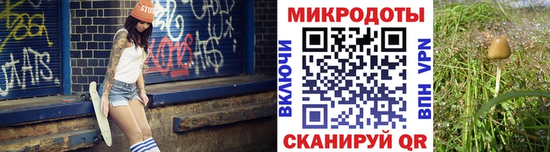 Псилоцибиновые грибы Magic Shrooms  наркота  Венёв 