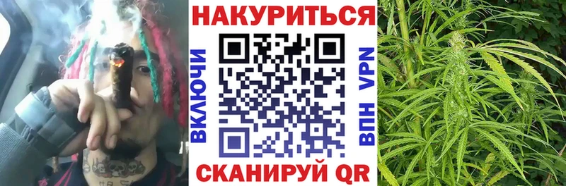 Канабис гибрид дарнет шоп Венёв